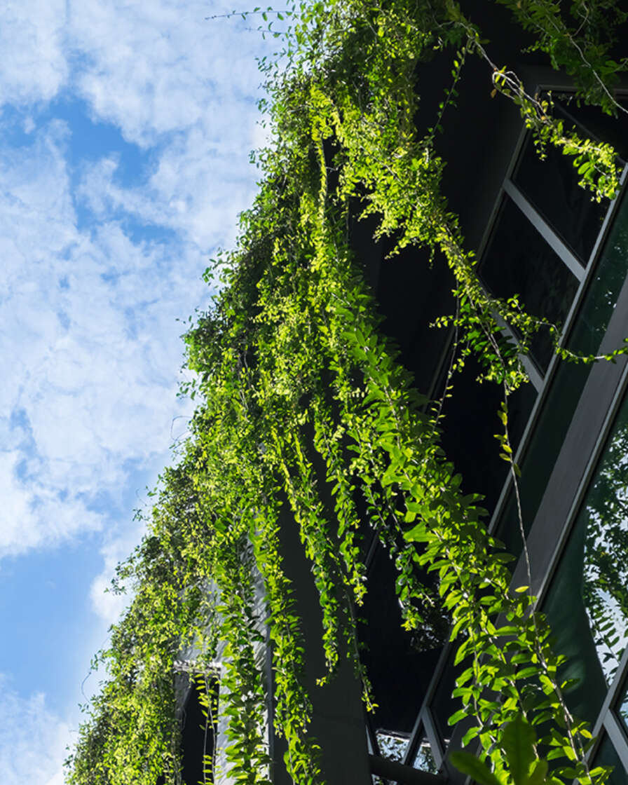 Greenery on office building